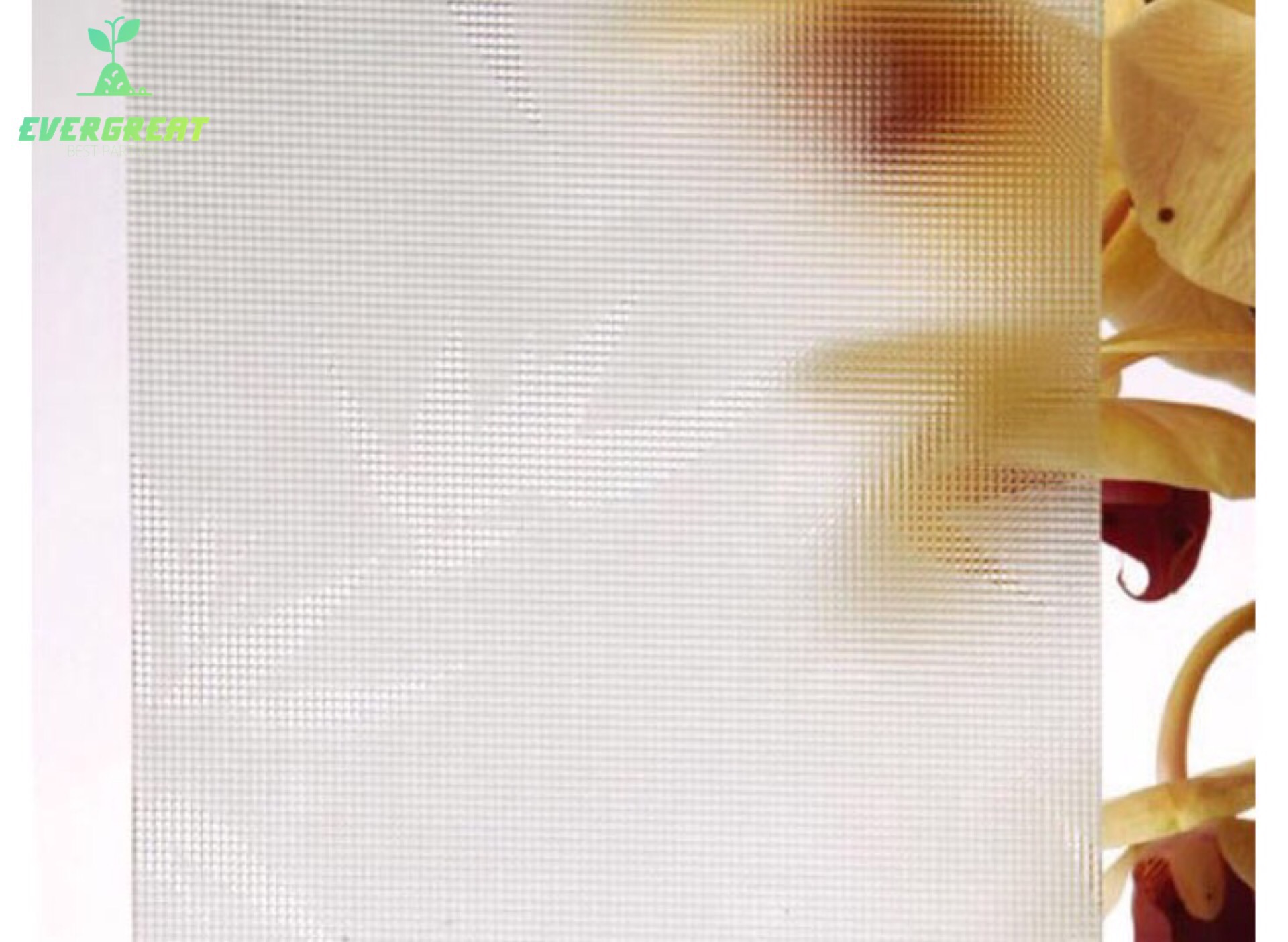 Figured Acid Etched Glass 
