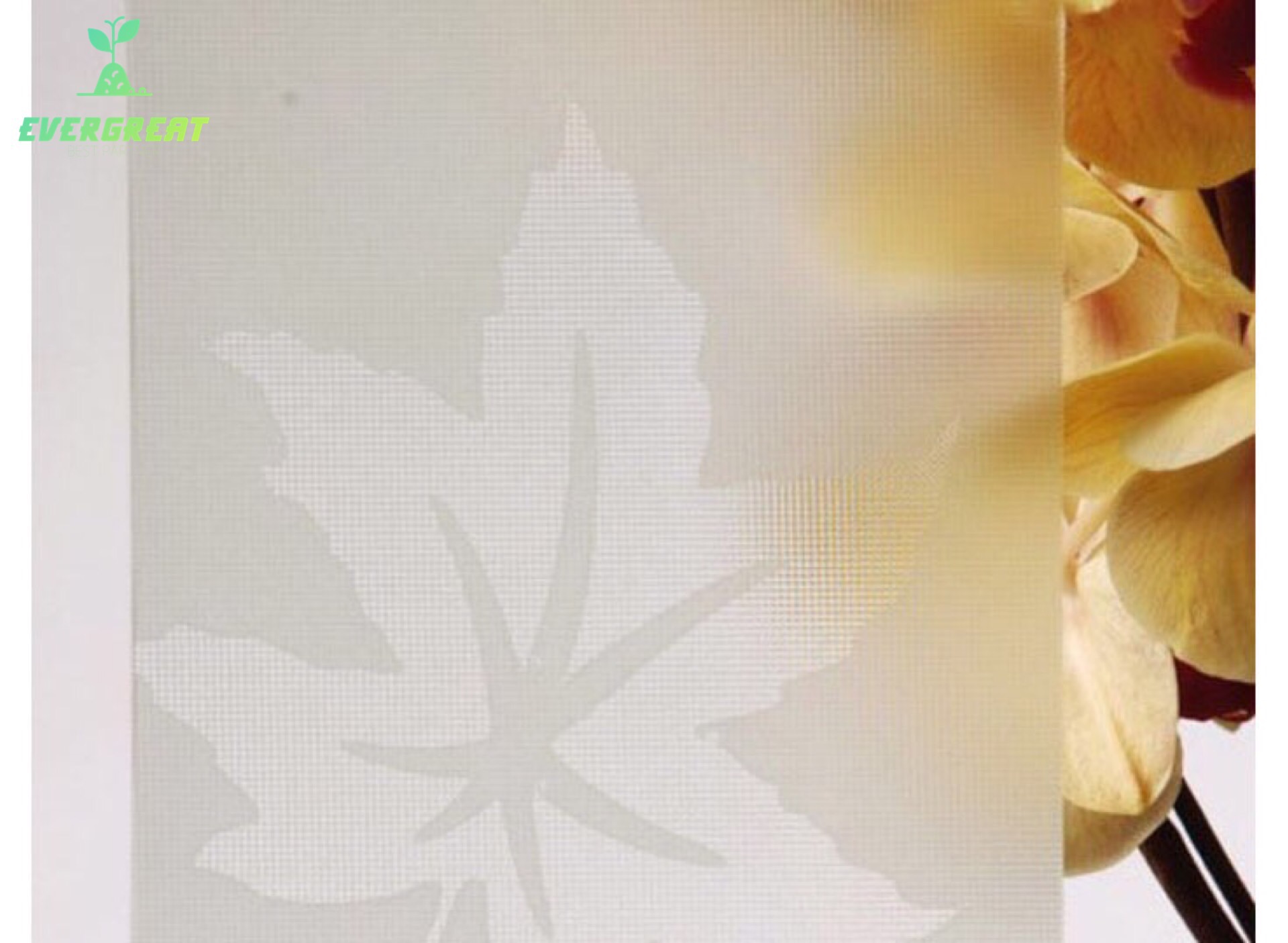 Acid Etched Glass