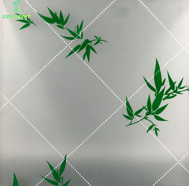 Decorative Glass EG70