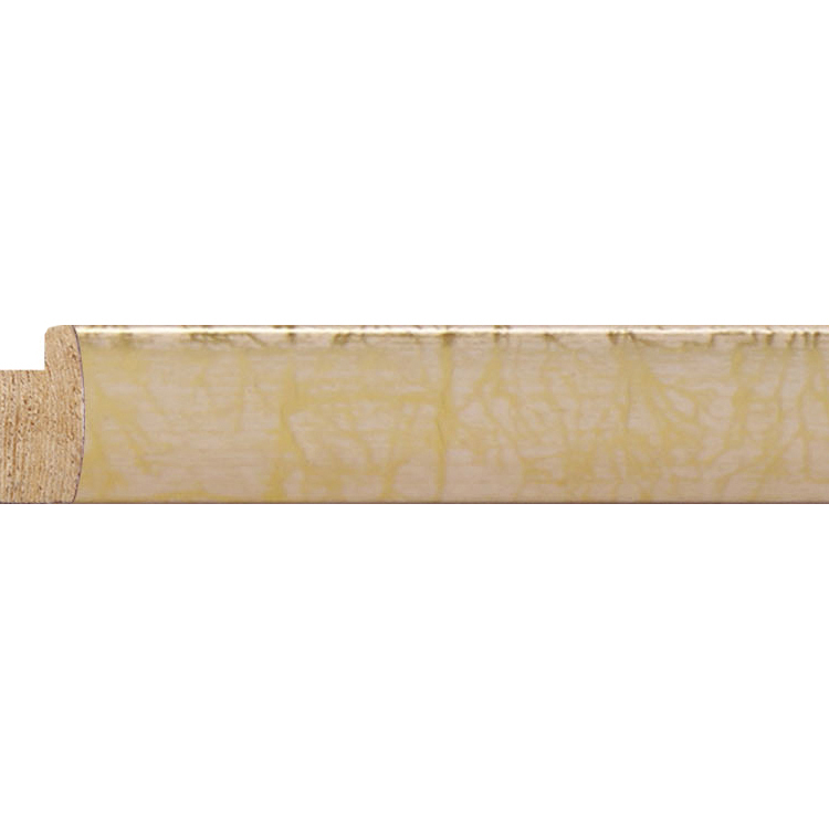 Frame Mould GWM2468-2